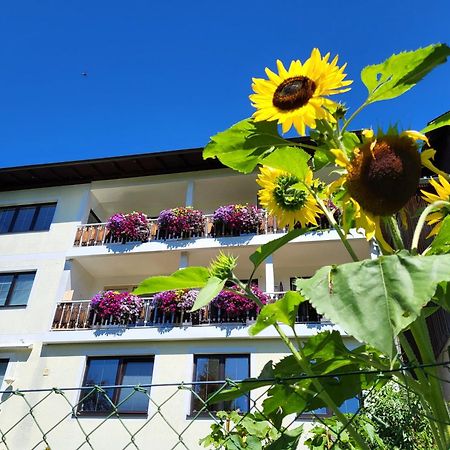 Gaestehaus Herma Ramsau am Dachstein Eksteriør billede