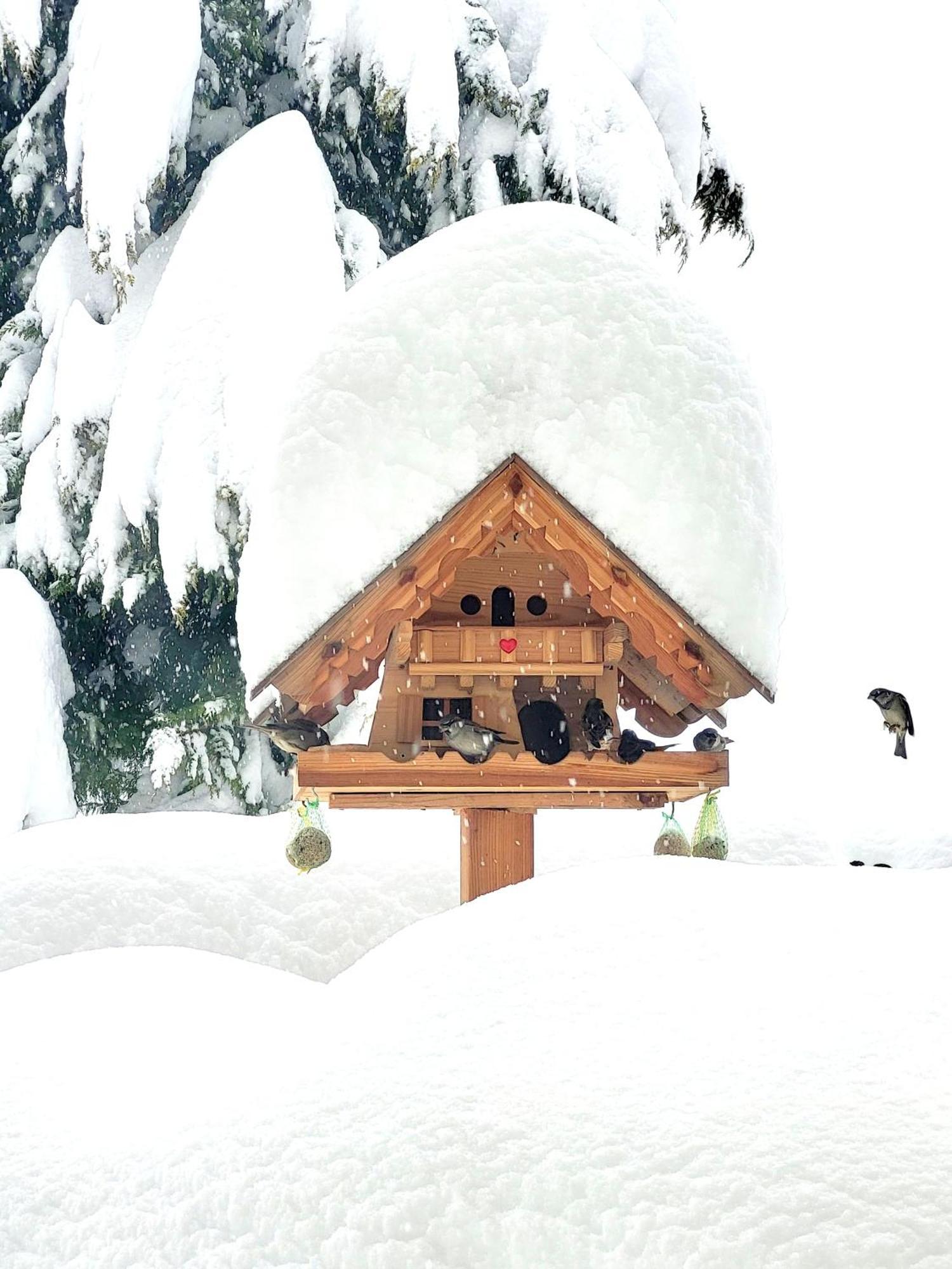 Gaestehaus Herma Ramsau am Dachstein Eksteriør billede