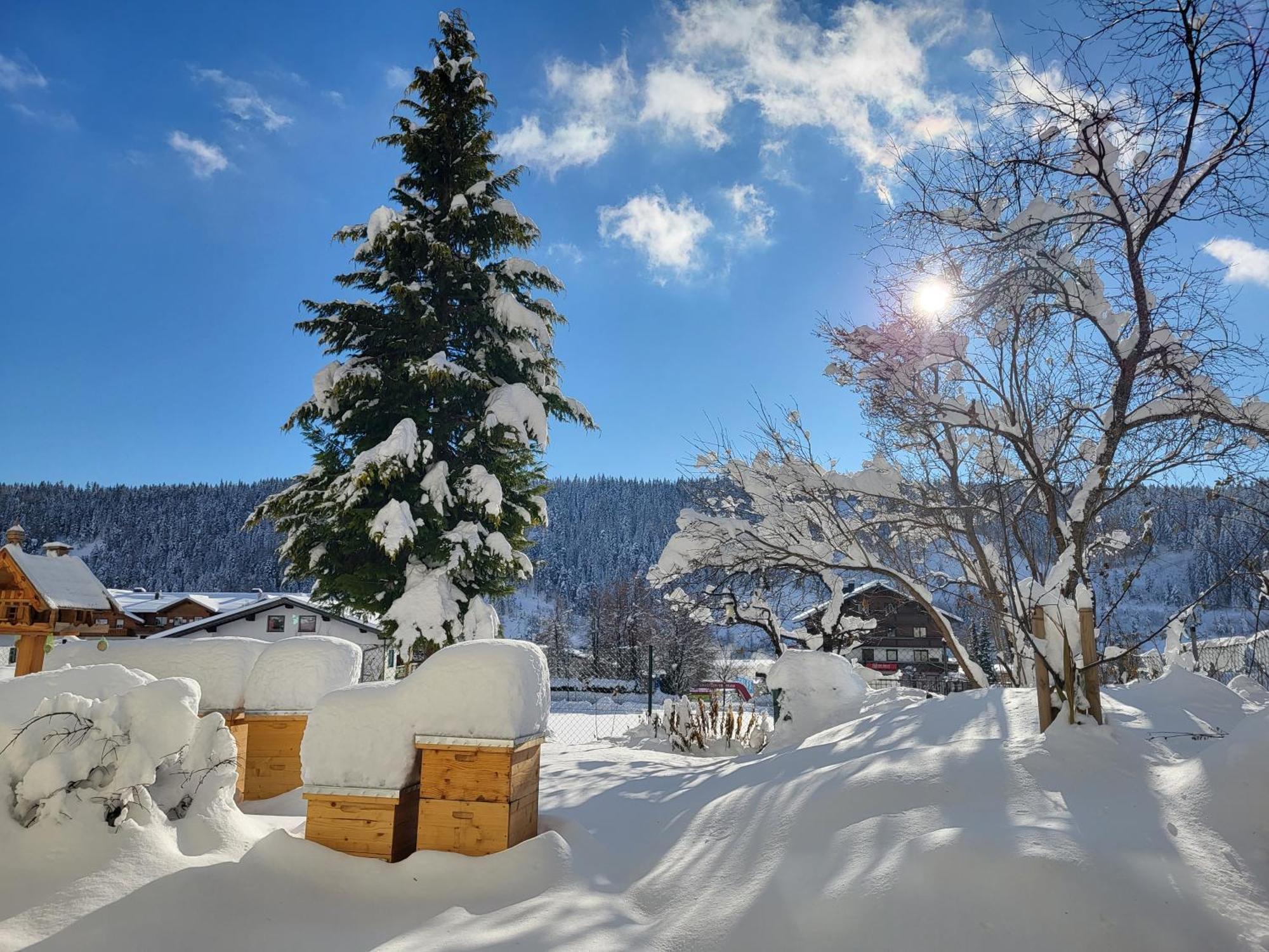 Gaestehaus Herma Ramsau am Dachstein Eksteriør billede