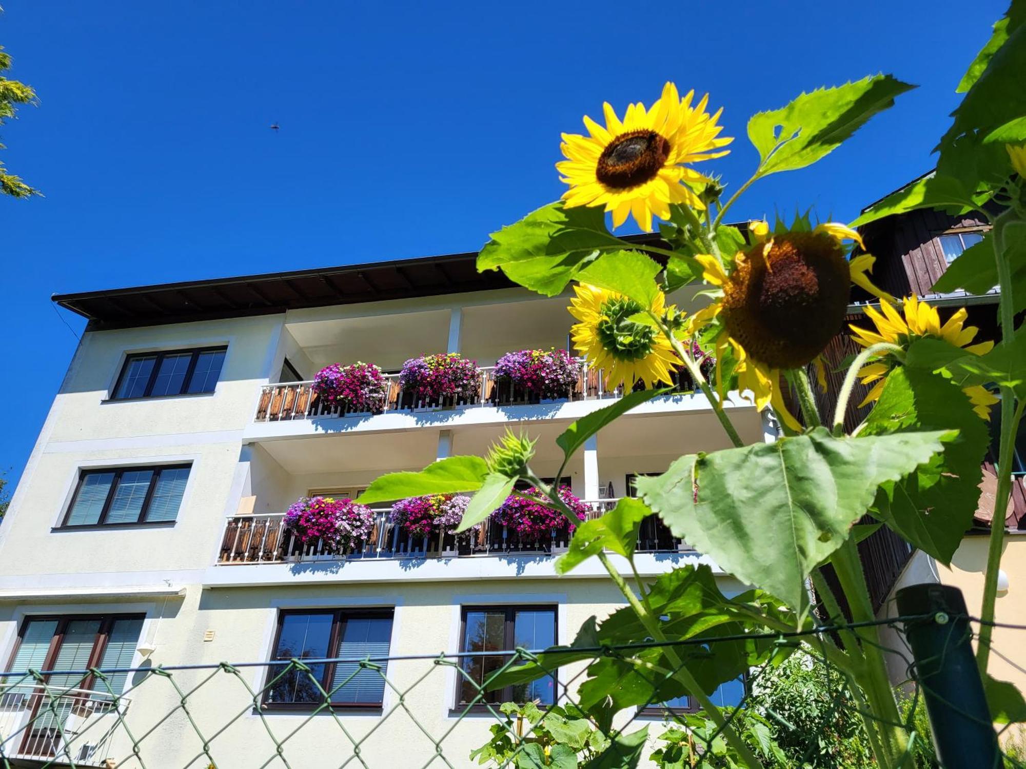 Gaestehaus Herma Ramsau am Dachstein Eksteriør billede