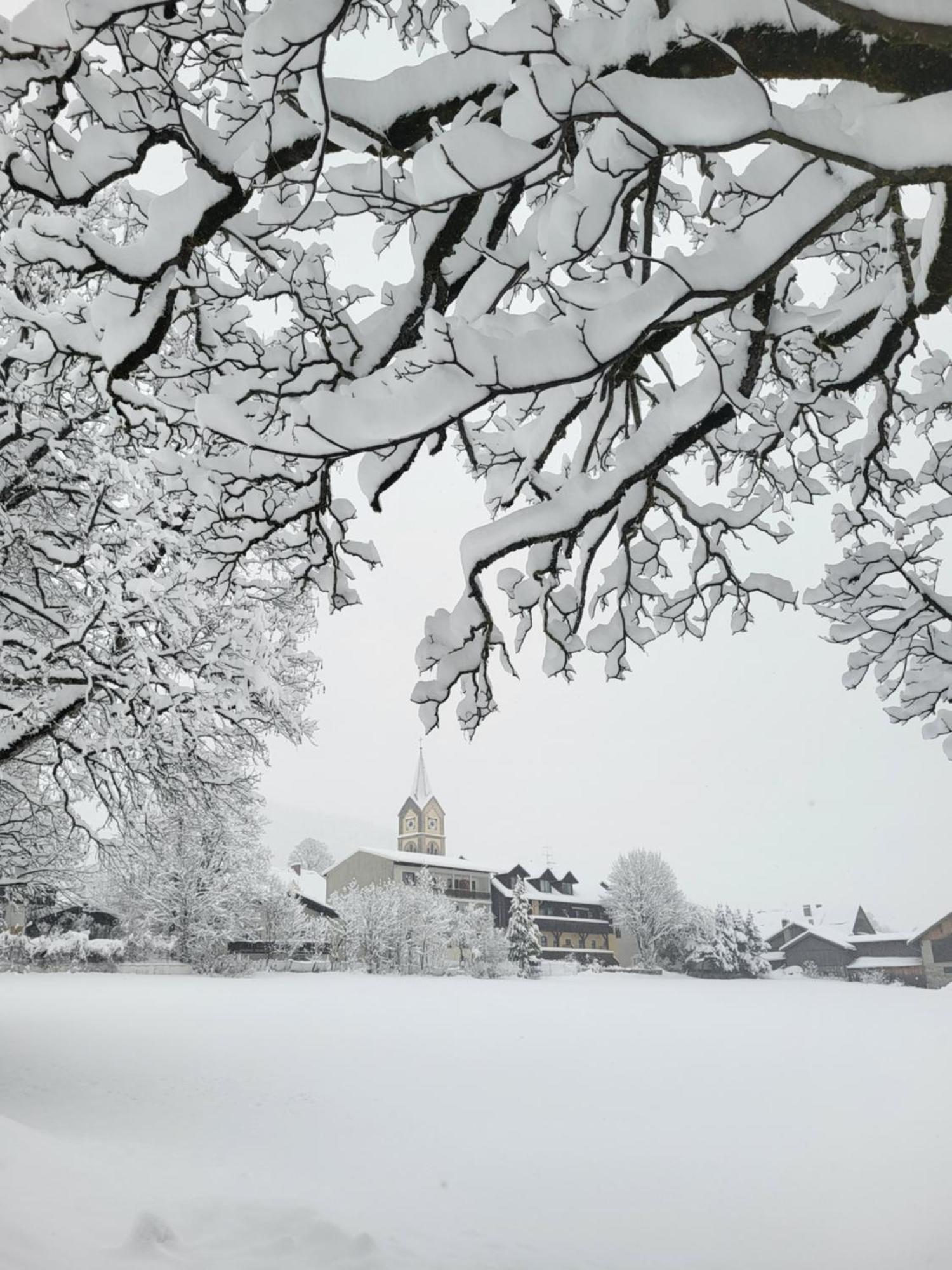 Gaestehaus Herma Ramsau am Dachstein Eksteriør billede