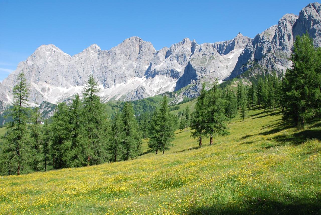 Gaestehaus Herma Ramsau am Dachstein Eksteriør billede
