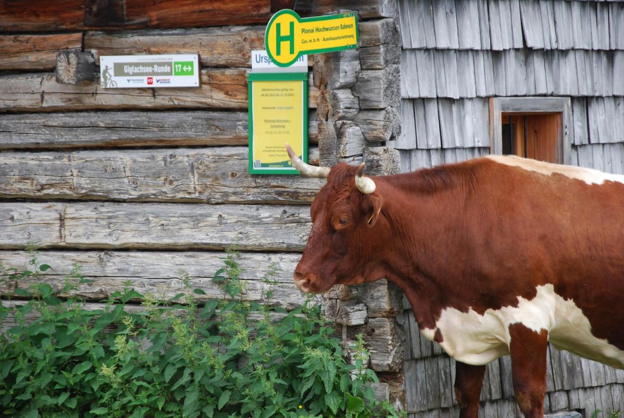 Gaestehaus Herma Ramsau am Dachstein Eksteriør billede