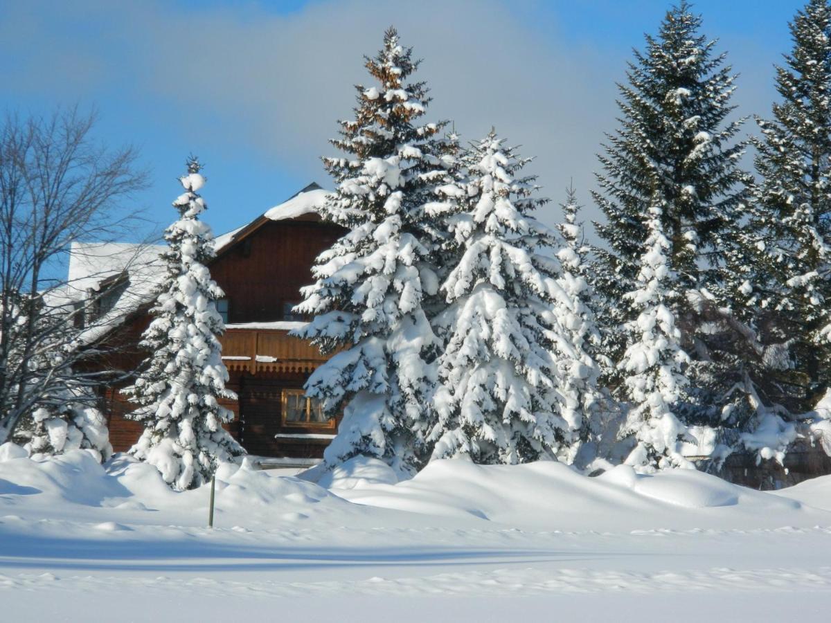 Gaestehaus Herma Ramsau am Dachstein Eksteriør billede